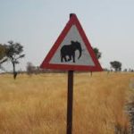 Elephantcrossing