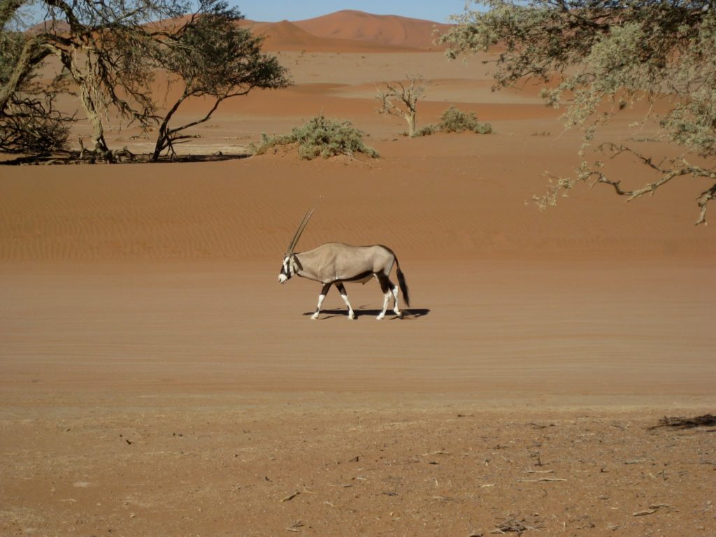 Namibia