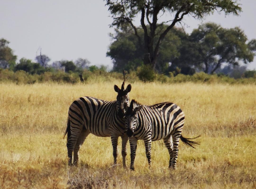 Botswana