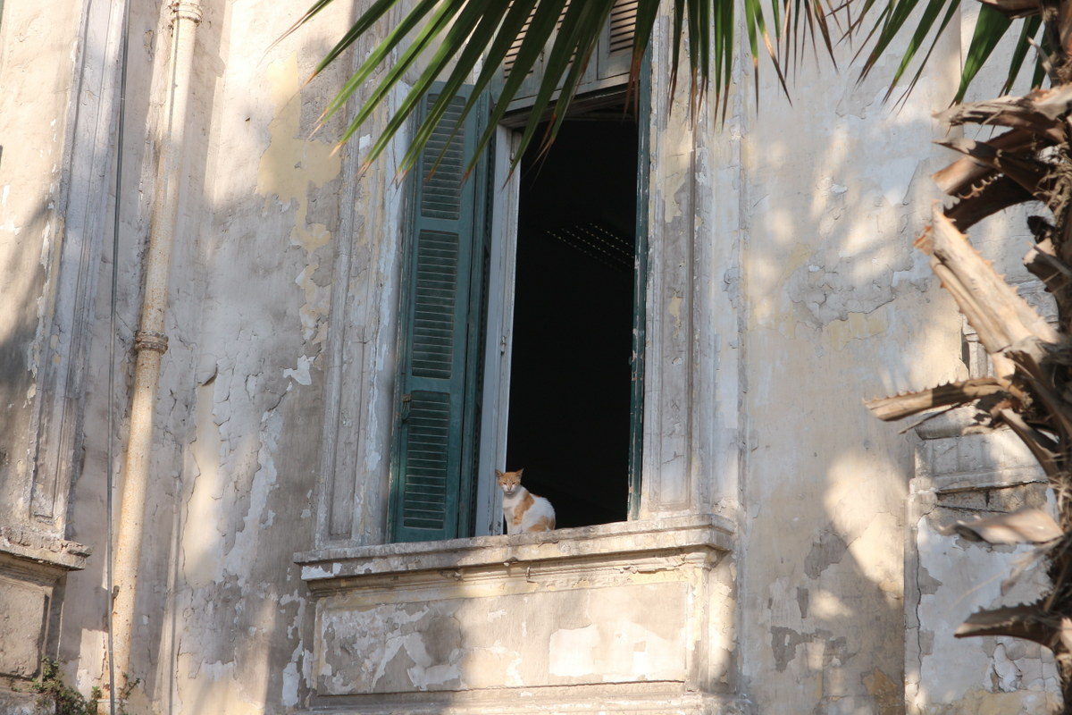 The Beauty in Alexandria's Ancient